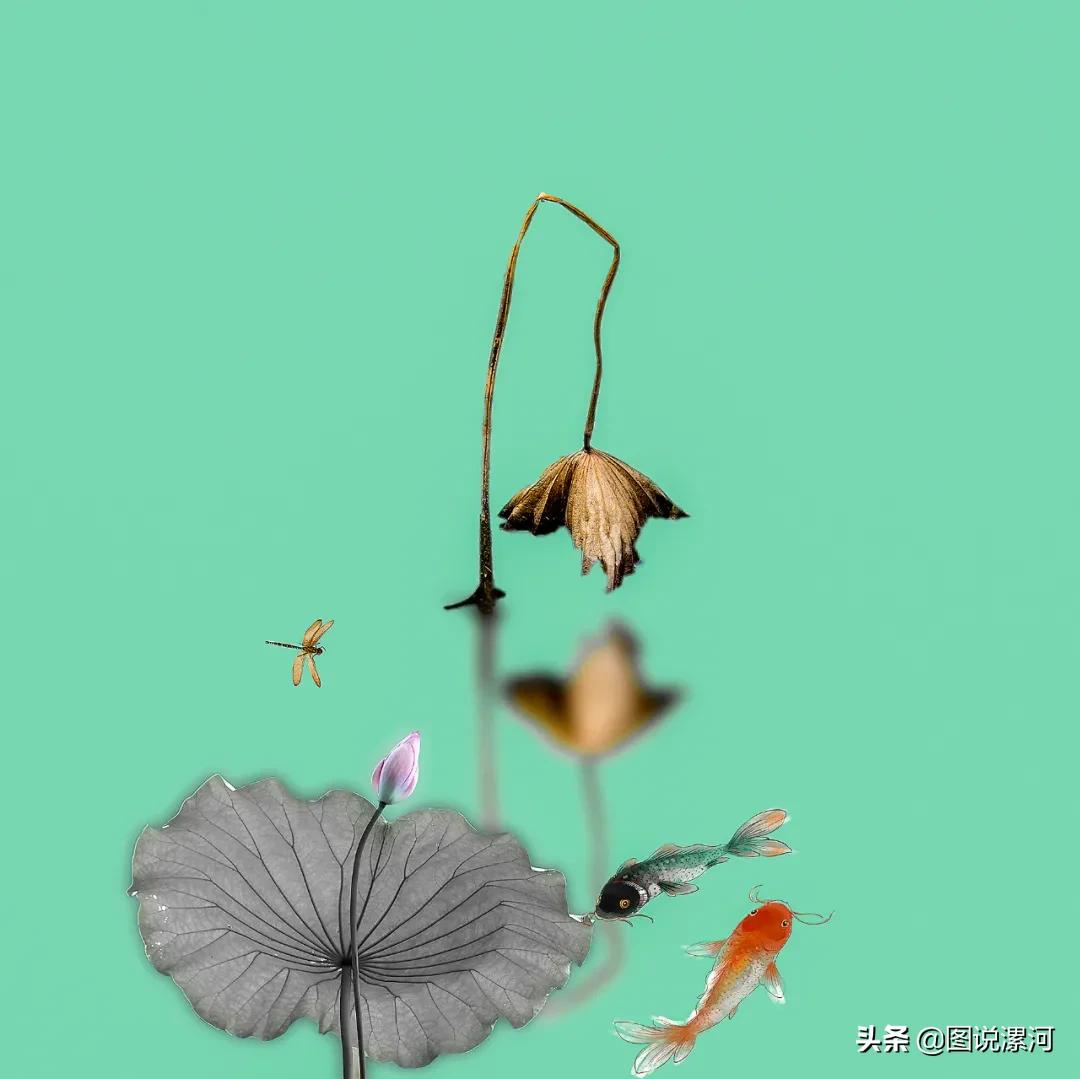 获奖摄影比赛作品,摄影比赛获奖名单公示