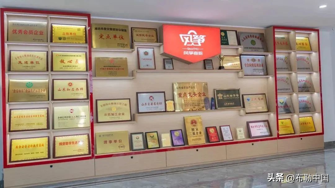 潍坊风筝面粉和香野面粉哪个好,潍坊风筝面粉最新消息