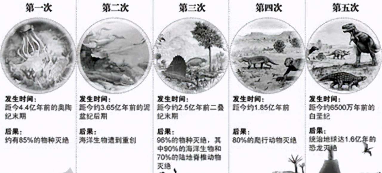 阳彩臂金龟已经灭绝了吗,阳彩臂金龟真的灭绝了没