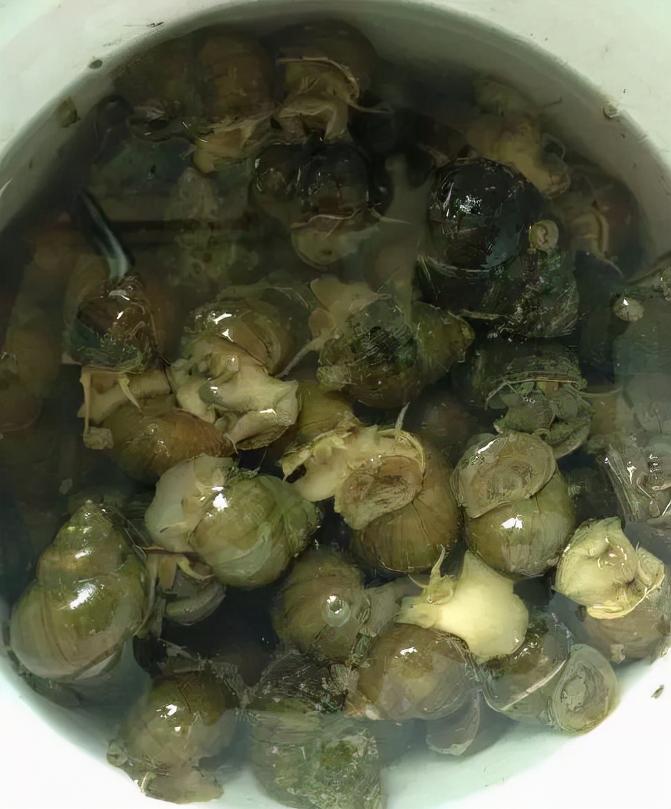 买海鲜应该怎么去买,如何挑选海鲜才是正确的