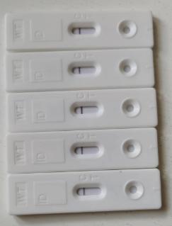 微信群会有危险吗,微信群会中毒吗