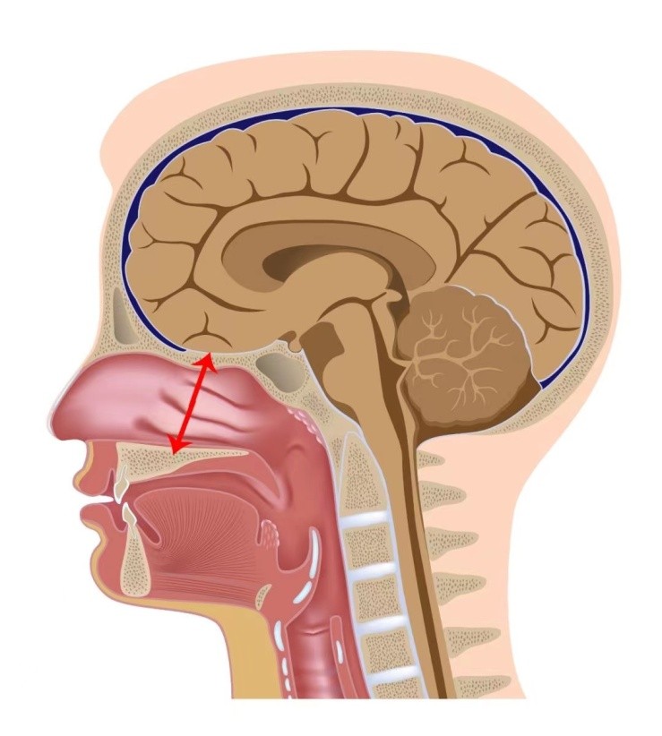 50宀佺敺鎬х墮鐤间細鏈夊叾浠栫梾鐥囧悧,23宀佺敺瀛愮墮鐥涘幓鎷旂墮