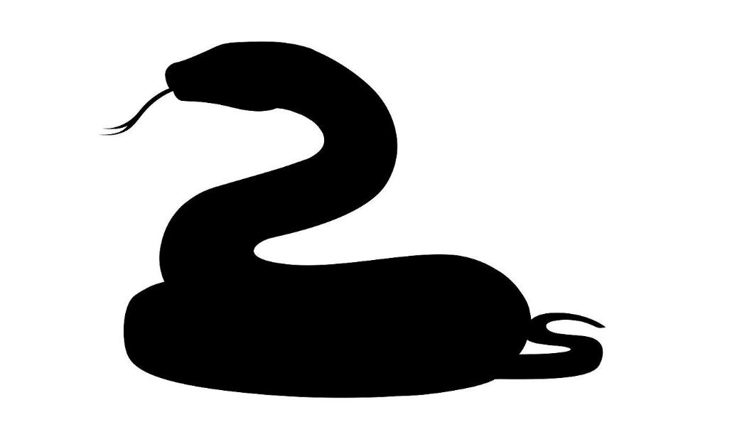 好心奶奶救下蛇20年后,男子救下一条小蛇20年后来报恩