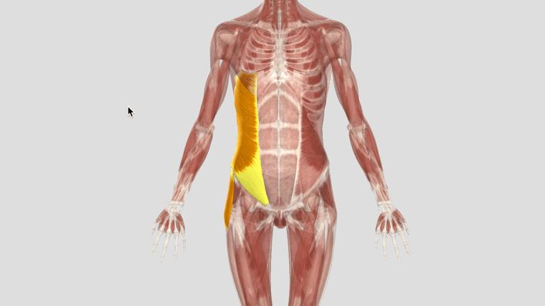 刘畊宏毽子操有效果吗,刘畊宏的毽子操锻炼的部位