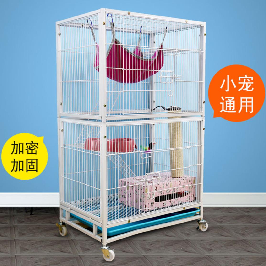 养超可爱的龙猫宝宝,适合新手养的宠物龙猫