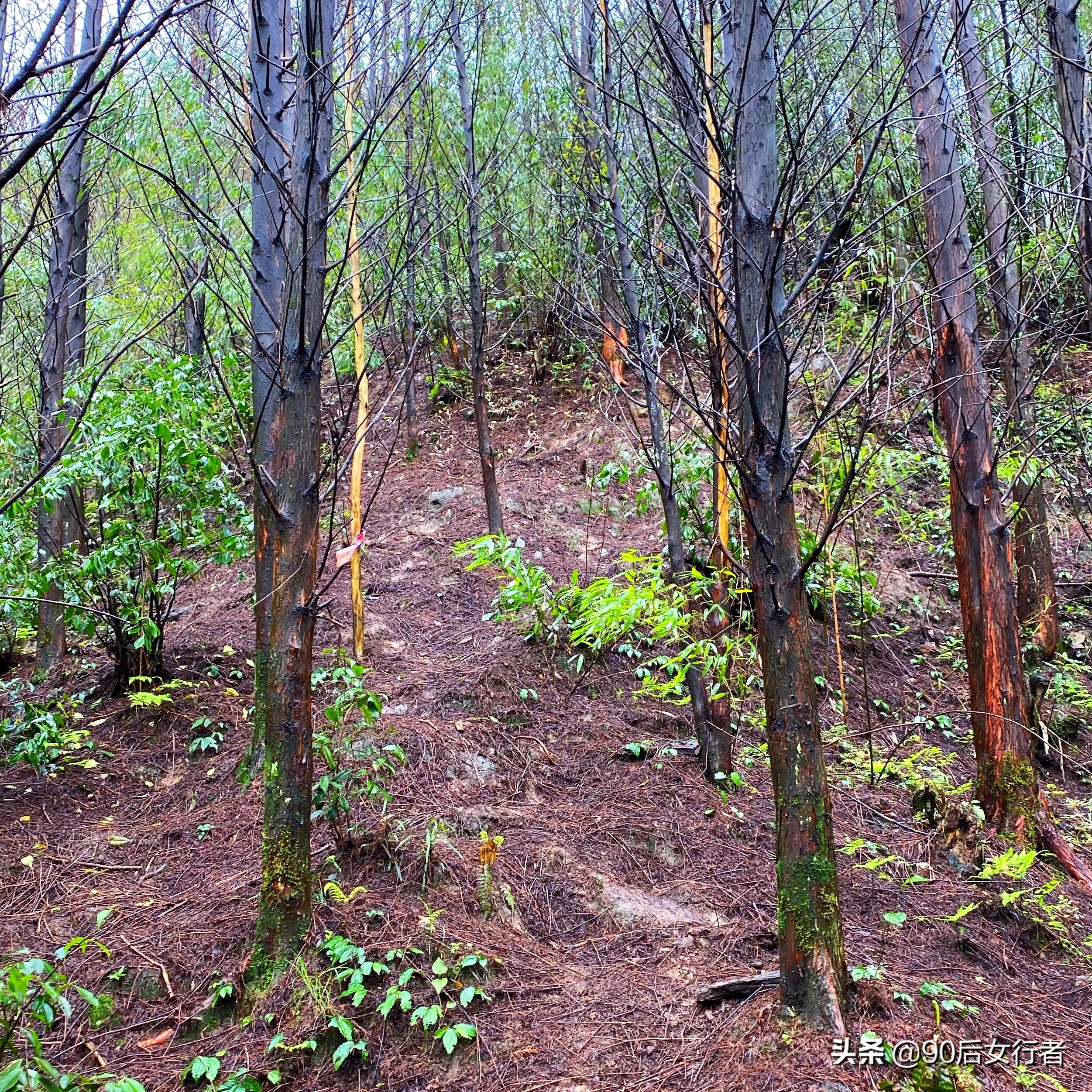 雨天徒步十里长山凹,走进大自然翻山越岭户外徒步