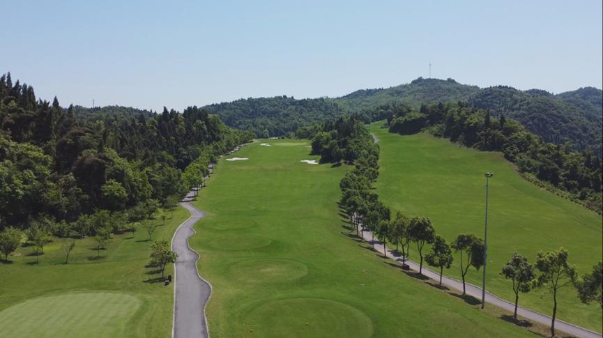 刘金星是哪里人,刘金星重庆