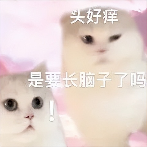 疲惫乏力没劲没精神青少年,疲惫精力不足吃什么药