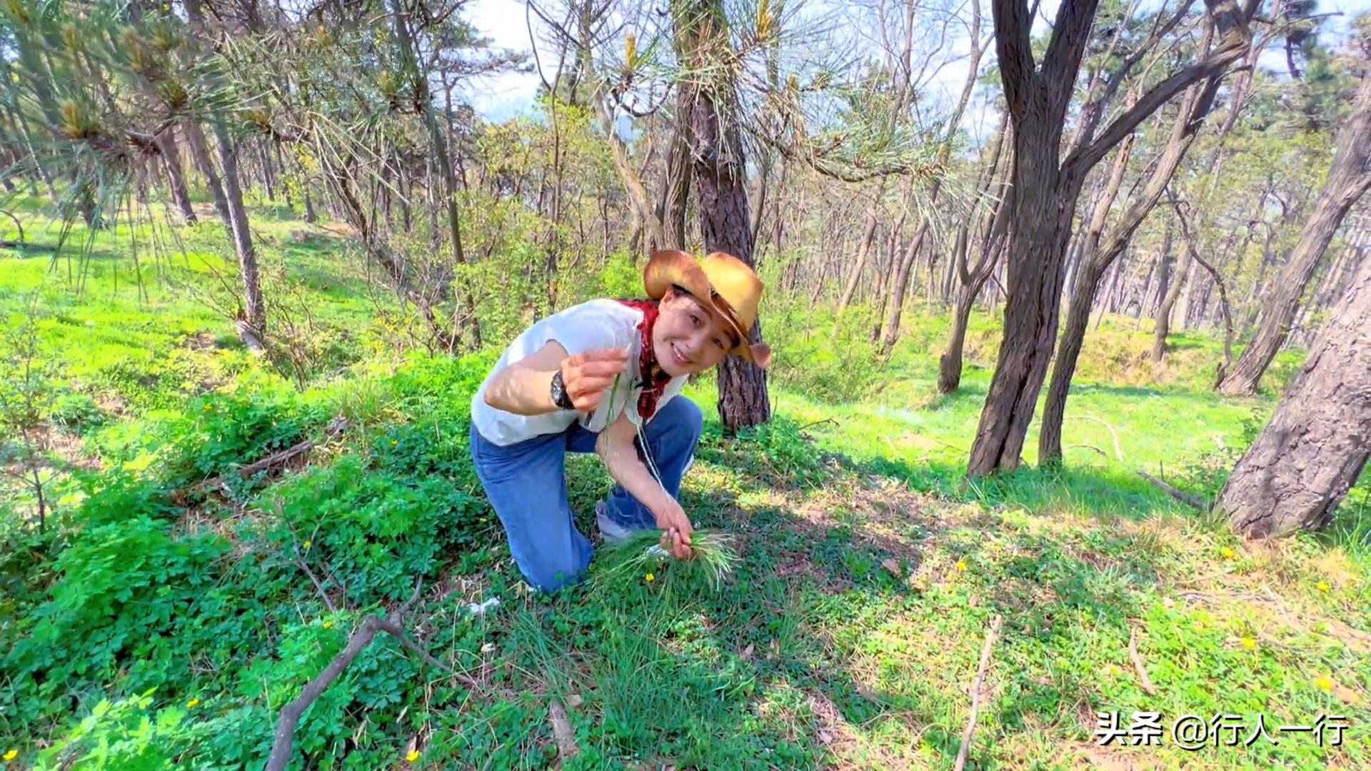 郑州周边夜晚露营地推荐,郑州露营旅游地点推荐