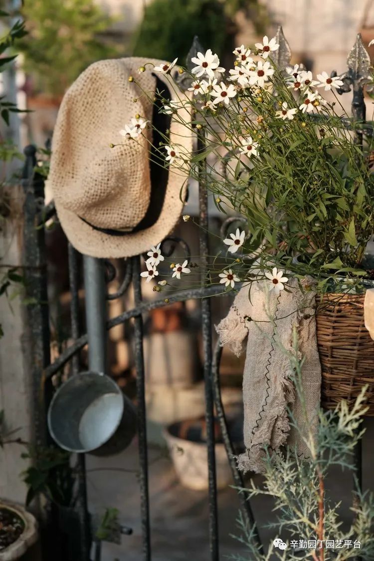 第八届园丁奖露台组《030号》洛基花园