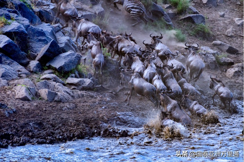 一年四季绝美风景 (关于季节性的旅游景观)