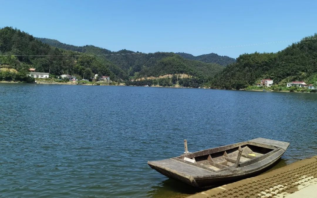 不斋,寻茶记六安瓜片