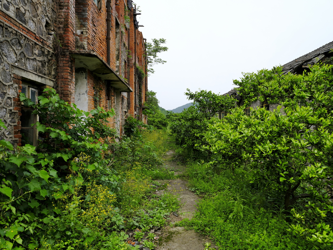 宜都717三线工厂,宜都717厂历史