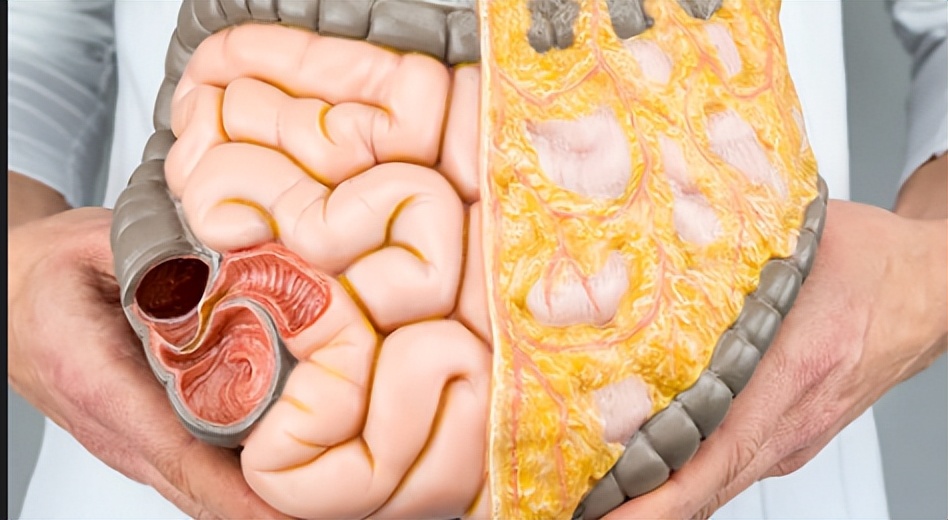 腰部两侧脂肪和腹部怎么减 (怎样科学快速减掉腹部和腰部赘肉)