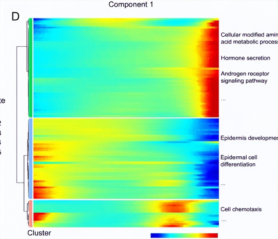 热带植物小果榕光合作用对光抑制的高敏感性