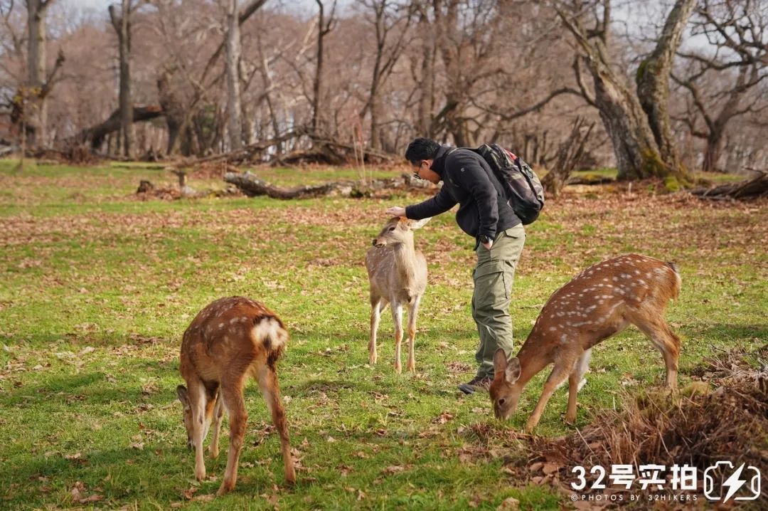 长白山的秋季,长白山夏天和秋天的区别