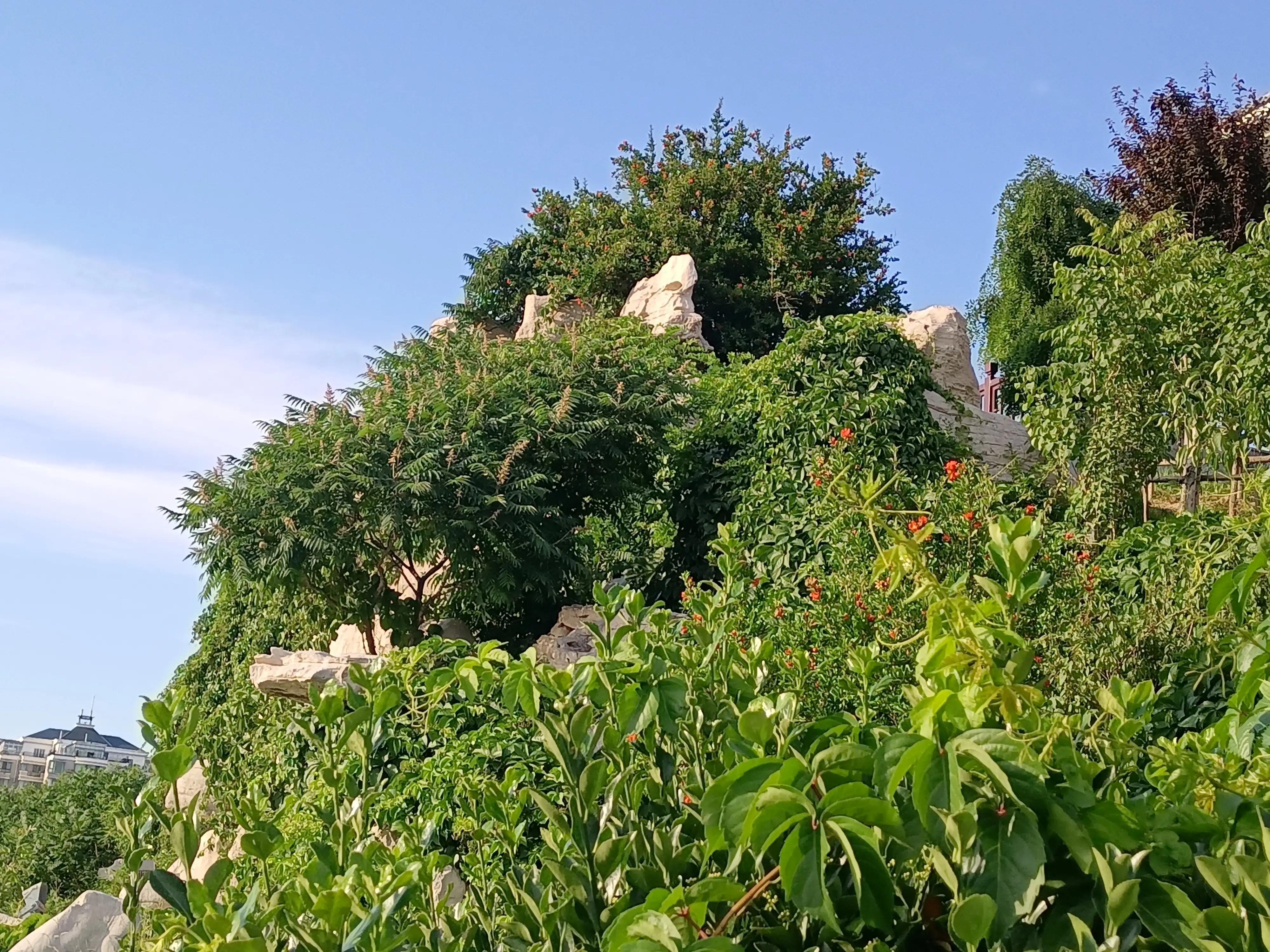 什么样的关系才能叫做朋友,朋友怎么样才算交心