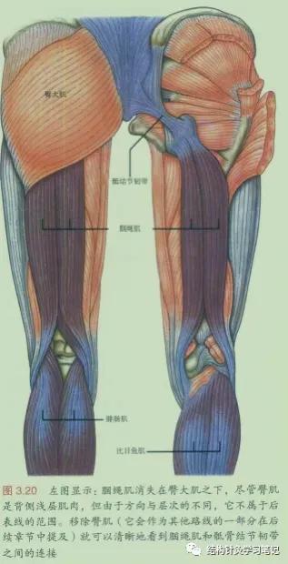 拔罐中的走罐,拔罐走罐视频