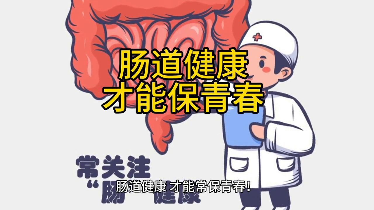 怎样保持鸟的肠道健康,保持肠道健康的5个小秘诀