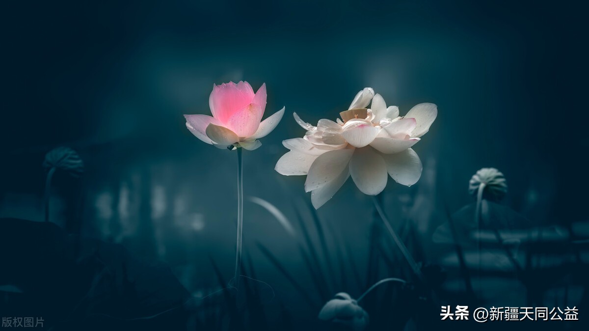 16岁男孩感染艾滋病毒纪录片,16岁男孩被感染艾滋病后续