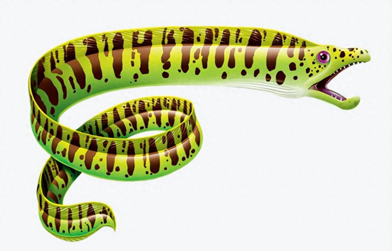 海蛇攻略,深海猎手视频