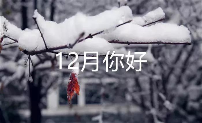 12月祝福文案短句热门,十二月第一天的祝福语高级文案
