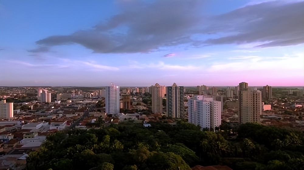日本什么时间购买了巴西的土地,1906年日本人在巴西买了多少土地