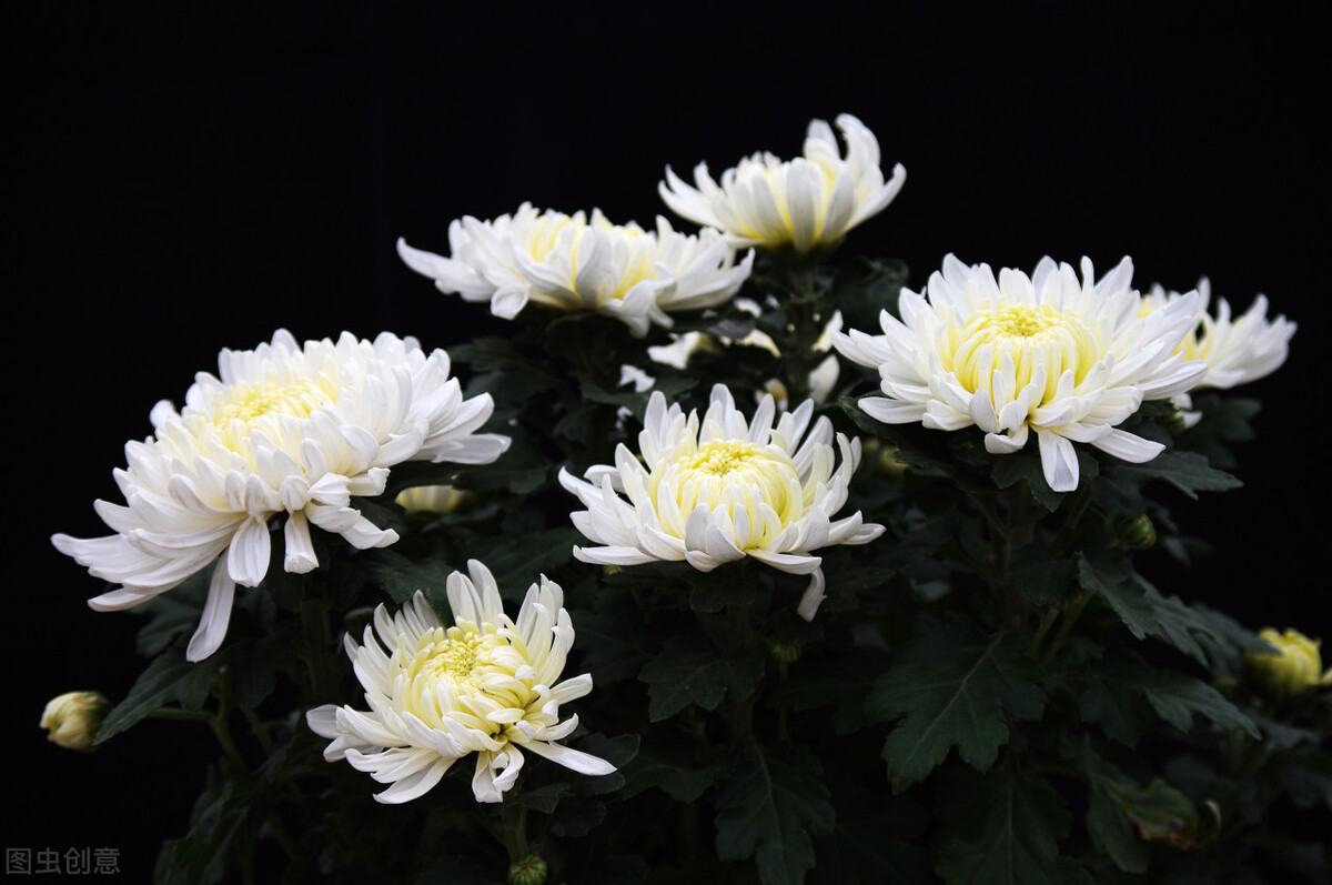 郭进栓汝州,郭进栓