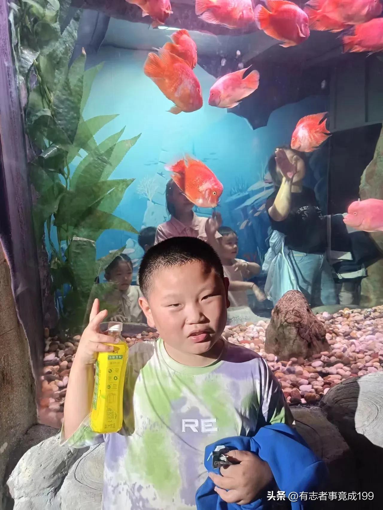 在西安去海洋馆,西安海底世界海洋馆