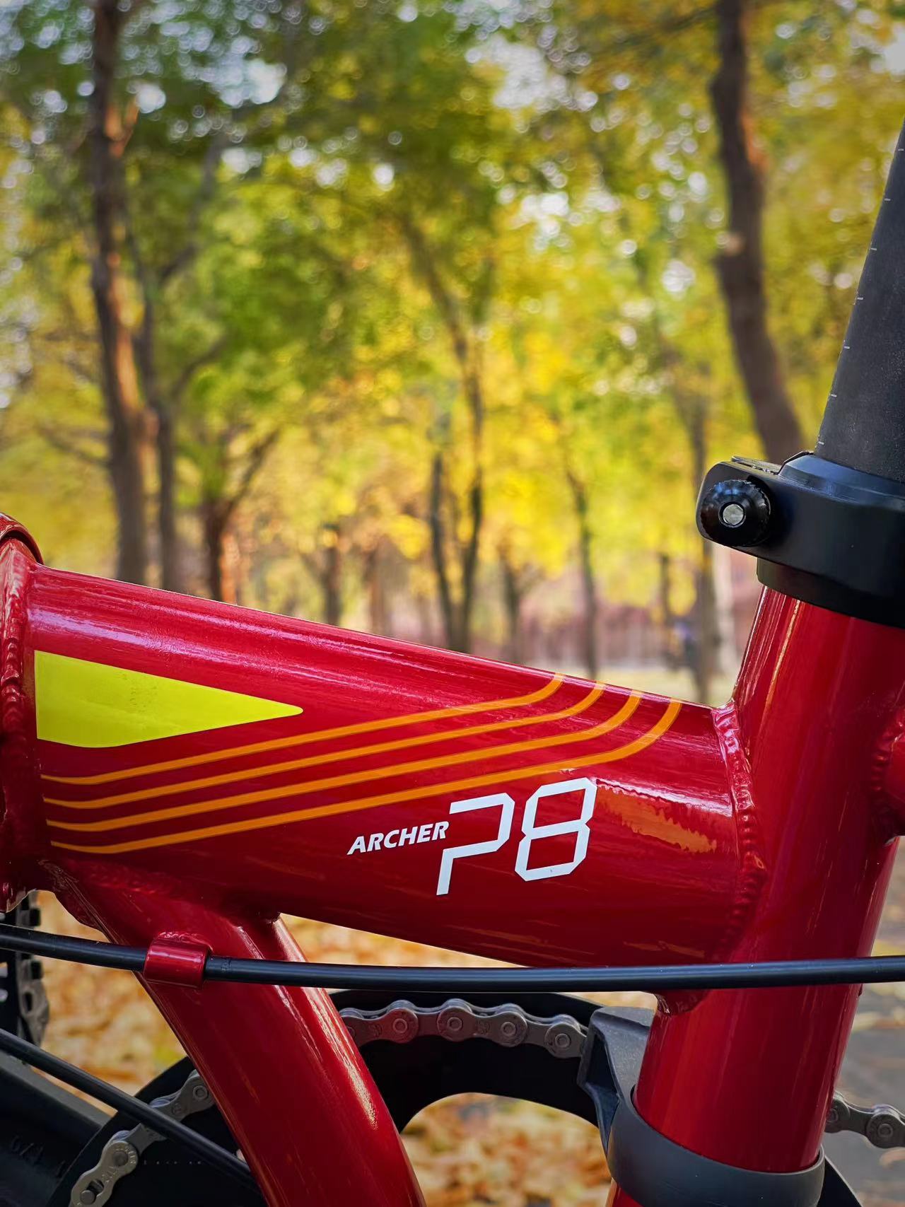 dahon大行16英寸,dahonp8折叠自行车和p8青春版