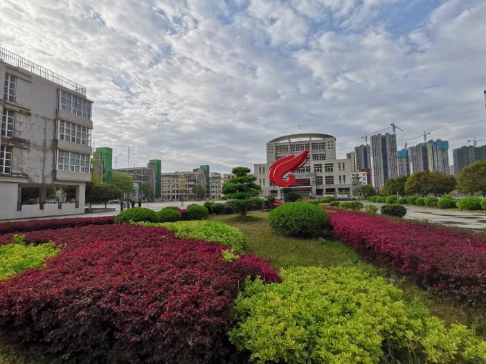 黄陂市新洲一中怎么样,武汉新洲一中与黄陂一中哪家强