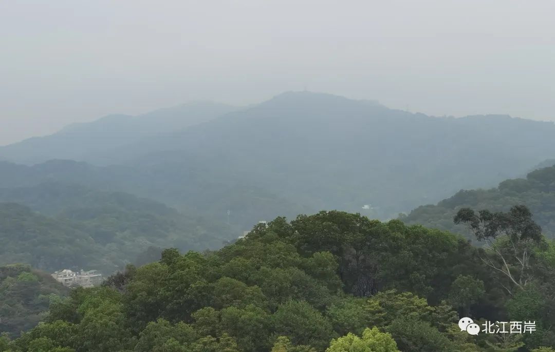 牧童遥指杏花村的遥是什么意思,牧童遥指杏花村书法作品