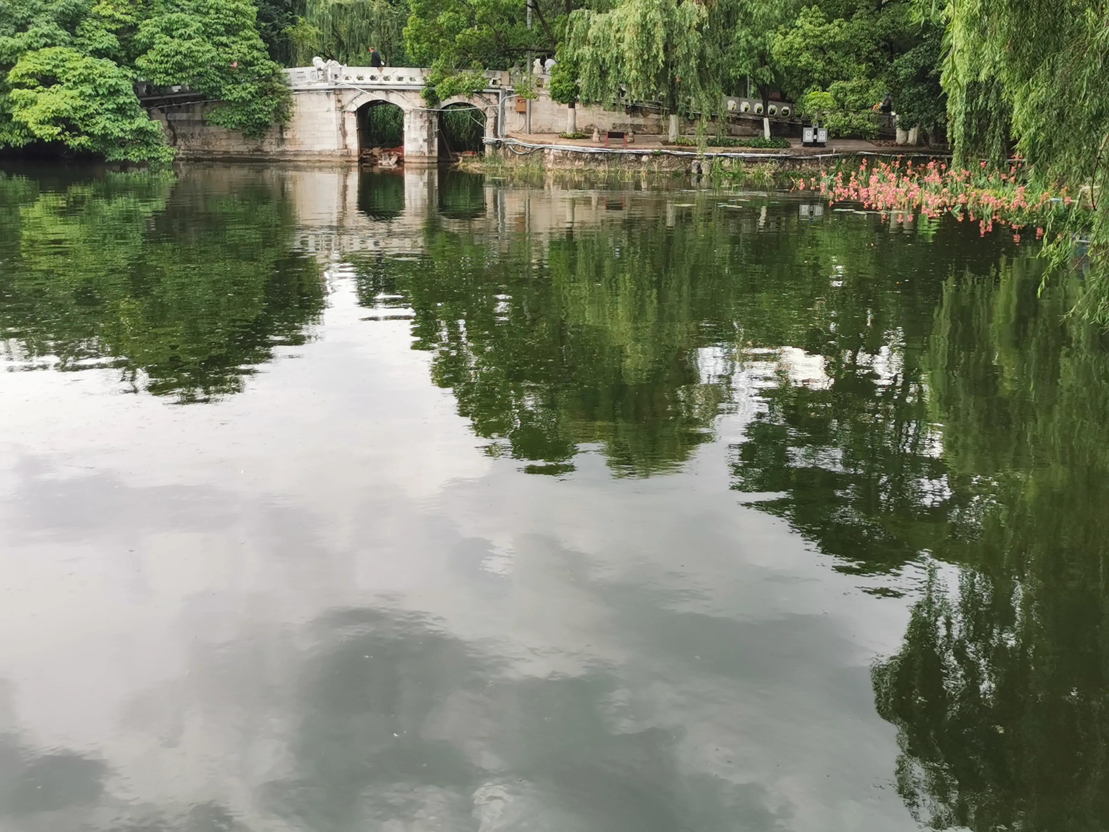 昆明一年四季有什么美景,昆明值得去的美景