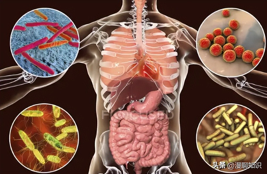 猫会感染人的疾病的图片,猫病毒检测cpr可以测出什么病毒