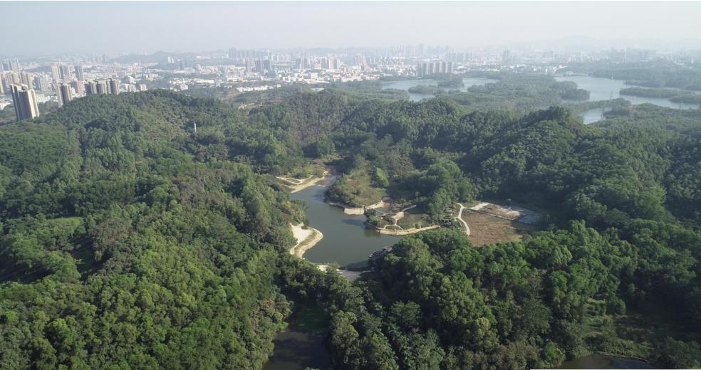 华为九龙山数字城项目,九龙山片区规划华为