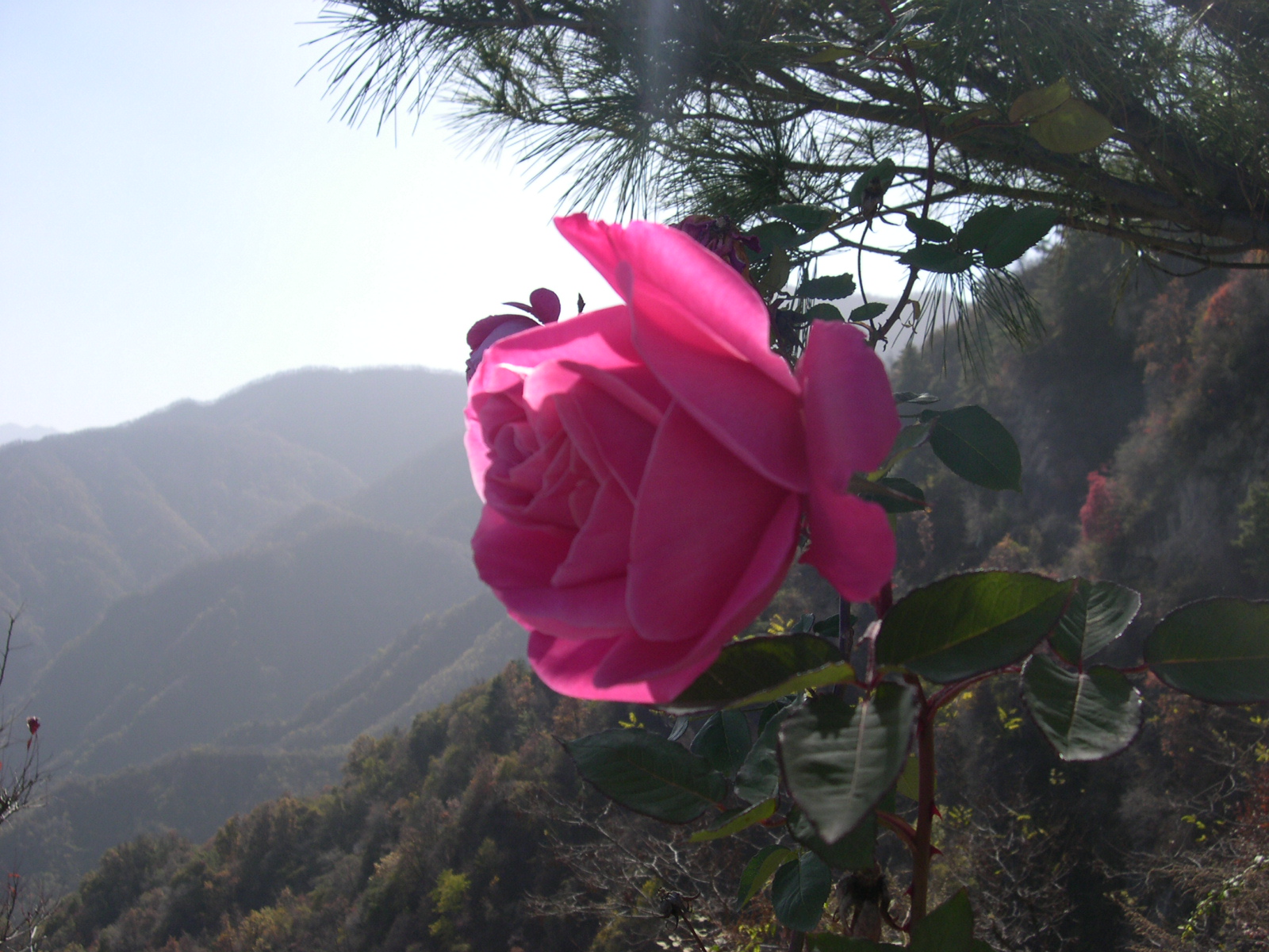 孔明的散文,作家孔明的写人散文