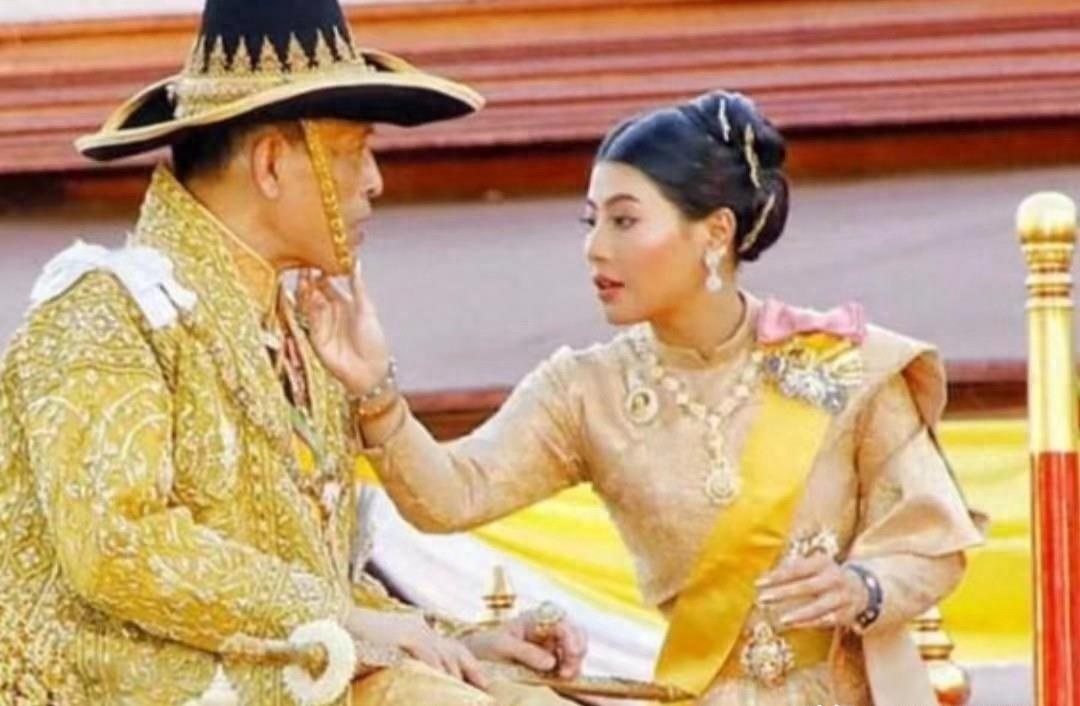 神兽梵真福气未尽,勋章授予引谣言,府中大喜公主宠