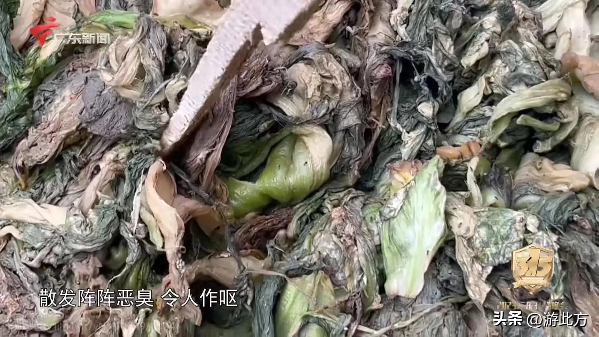 315黑心橄榄菜曝光视频,央视315曝光不合格橄榄菜