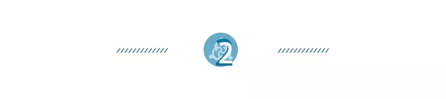 海柳算珠宝吗,海柳是宝石吗图片