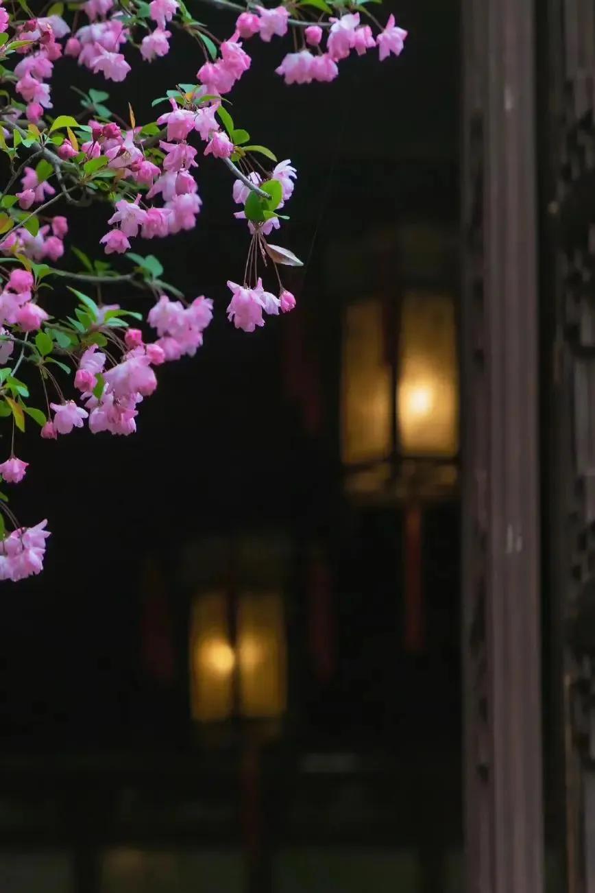 静谧时光历经沧桑,走过半生光阴