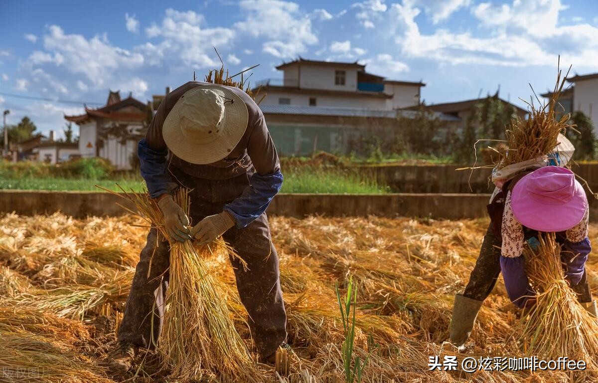 赚钱的三种方式总结解析,8种赚钱的思路和方式