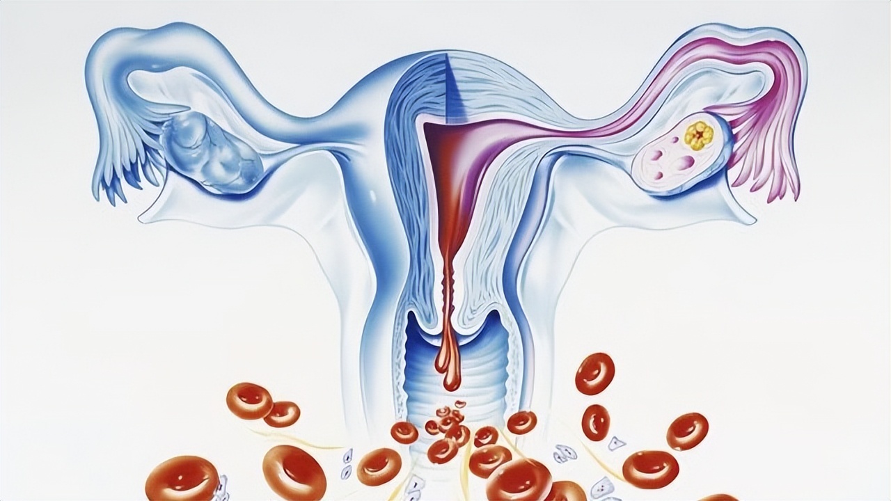 日本女人妇科病少的原因,为什么日本女人妇科病不多