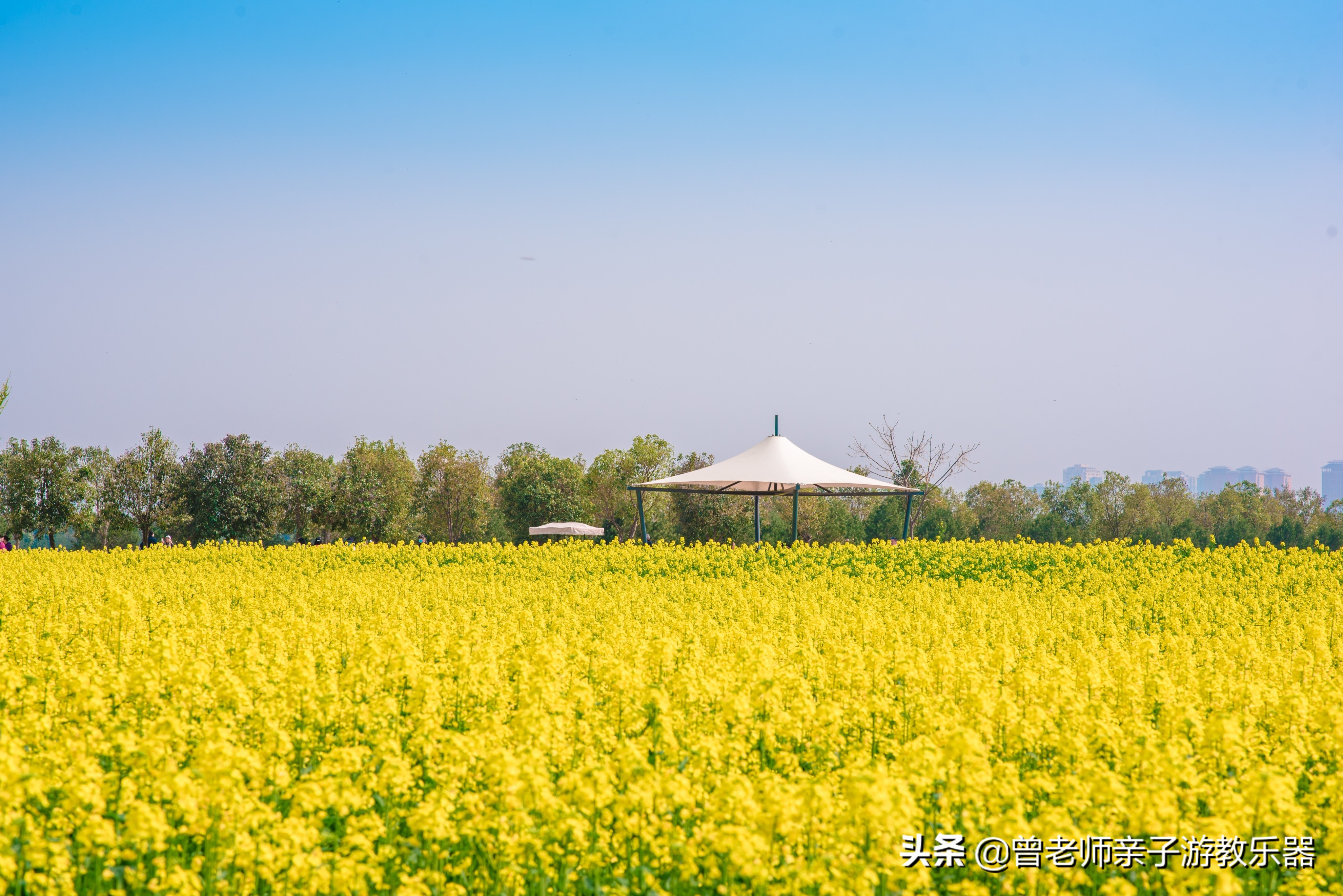 2022西安遛娃一日游的绝佳去处,2022年春节西安遛娃去哪玩最合适
