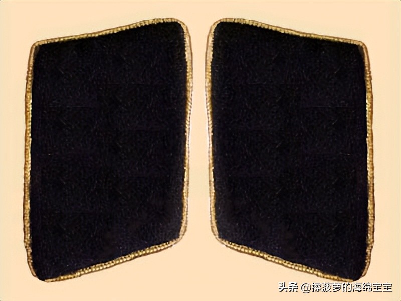 纳粹冲锋队用的什么枪,纳粹德军军衔图解