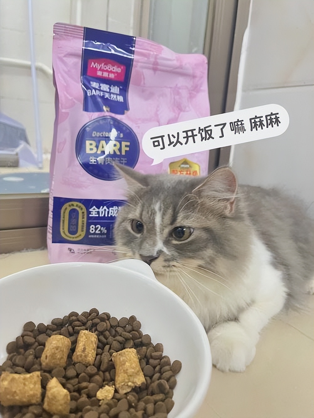 猫吐的颜色分析,猫咪吐褐色粘液是什么原因