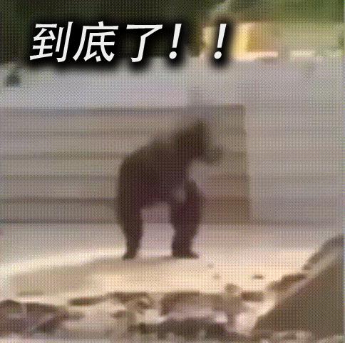 股市最近的底部在哪里,股市都有什么底