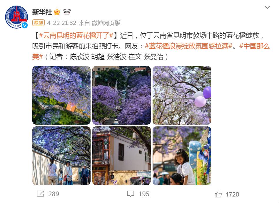 芸儿美美美美美,美美美美美美美英文