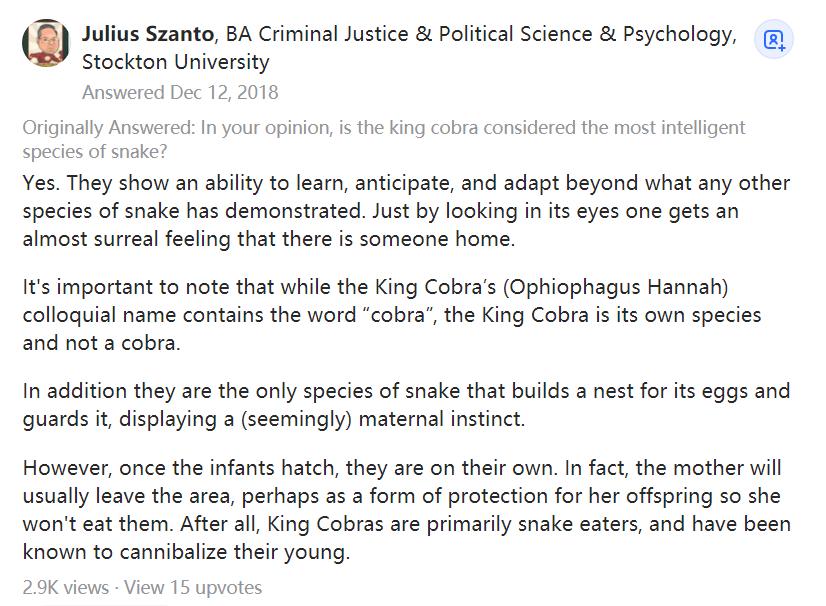 巨大眼镜王蛇被蛇獴杀死,泰国蛇王被咬死