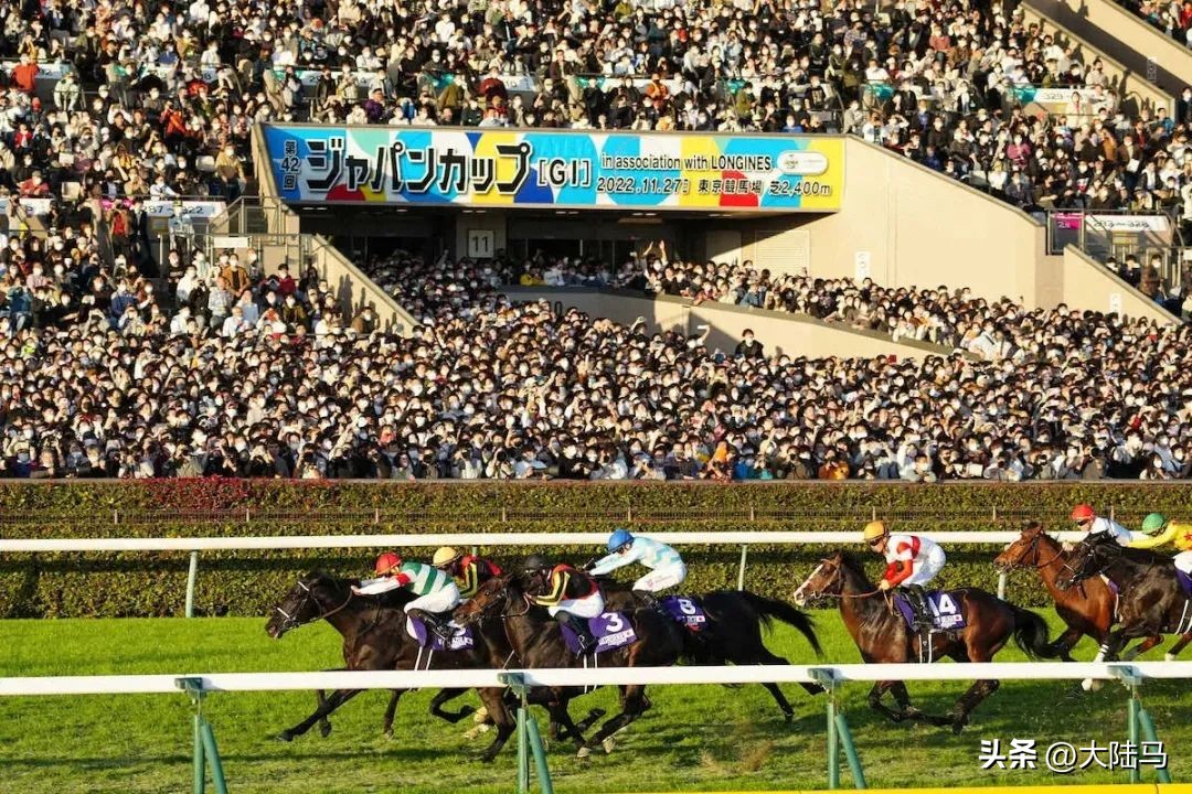 日本东京大赛第二名,日本赛马三冠赛事