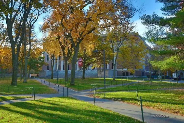 有关美丽校园三年级作文汇总9篇,美丽的校园作文500字左右五年级